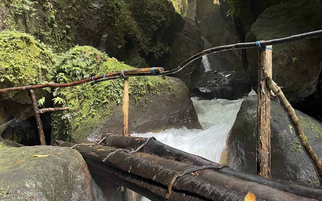 PP25 God will make a way