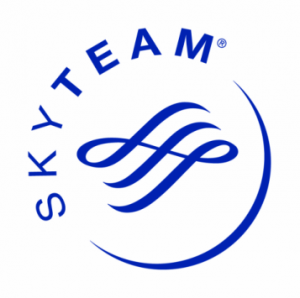 Skyteam logo