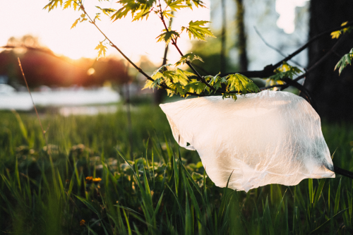 Plastic bags ban Africa