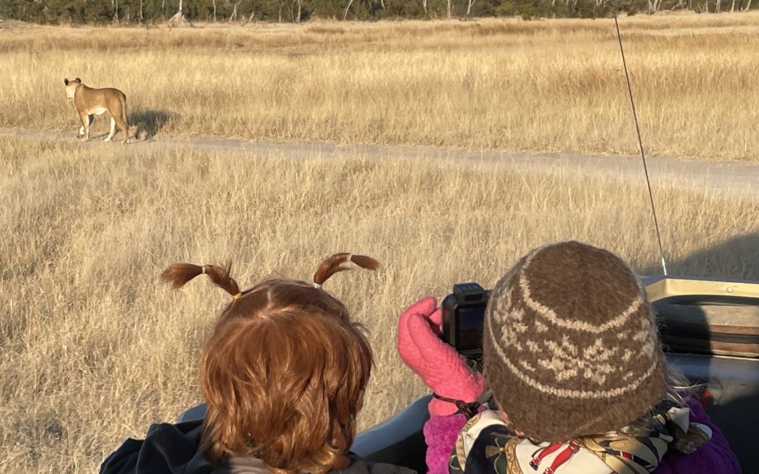 PP25 Ruler [King] of the Road