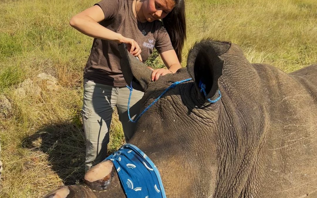 PP25 – One Life at a time