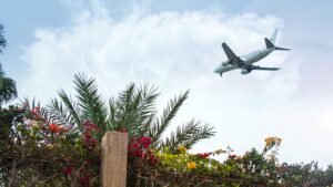 Summer Travel